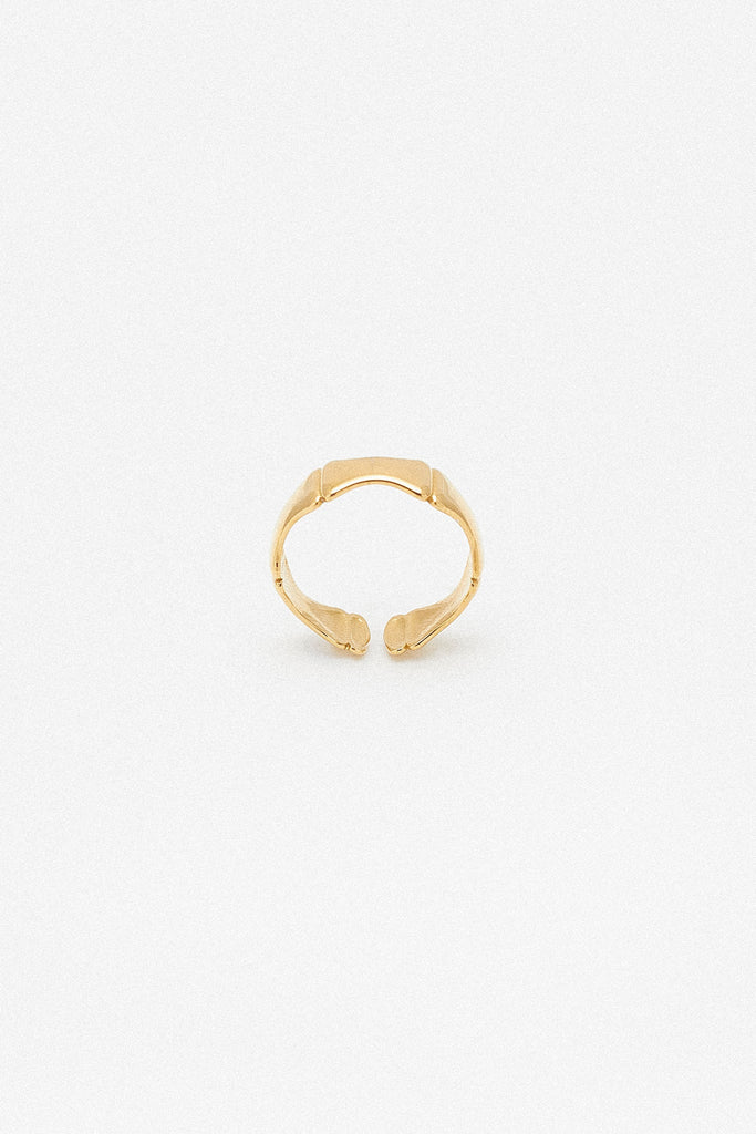 Anéis Aço Inox e Prata 925